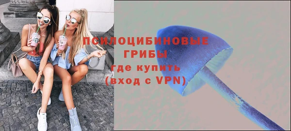 кокс Алексин