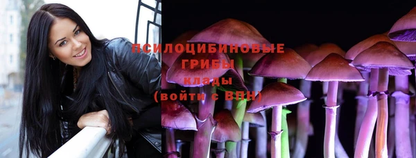 герыч Алзамай