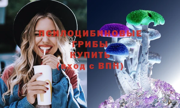 кокс Алексин