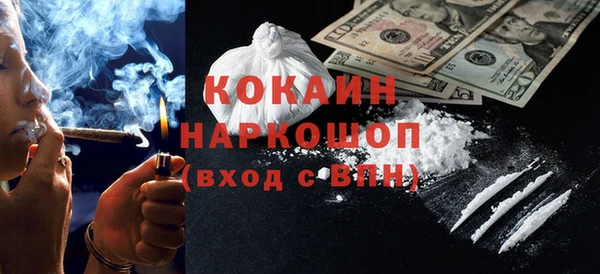 кокс Алексин