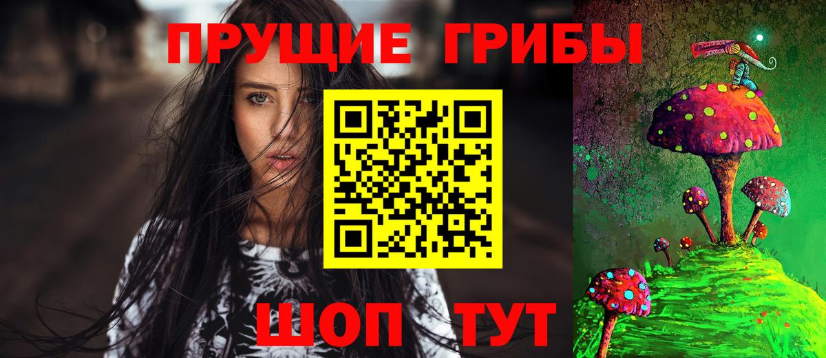 Киров  Псилоцибиновые грибы Psilocybe  купить   Вход с VPN 